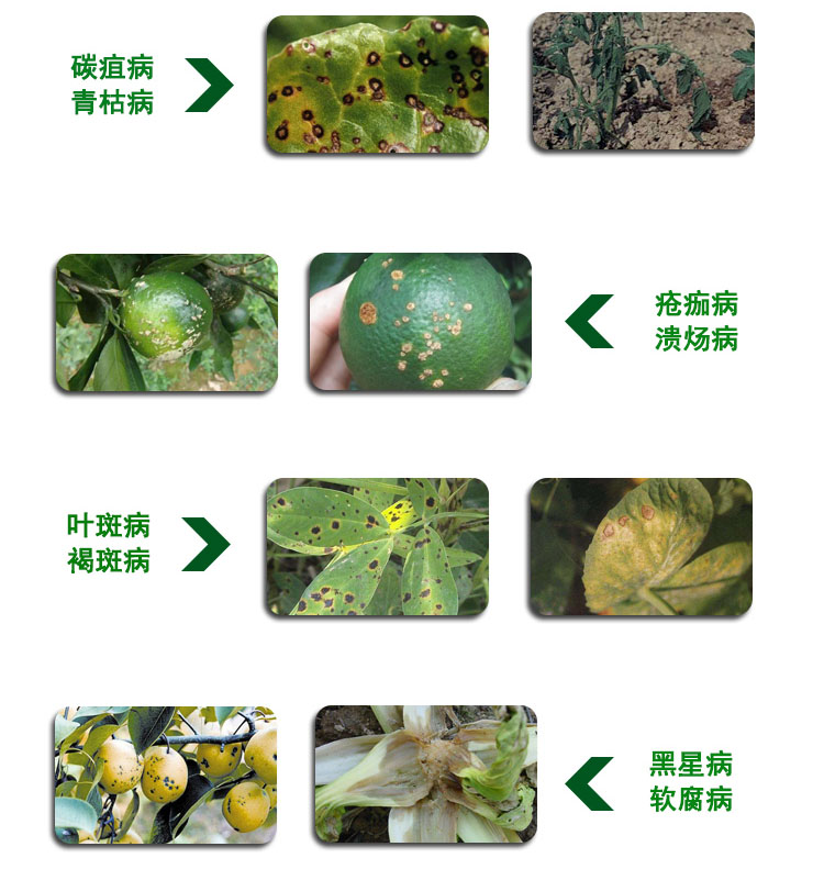 细思净-溴菌·壬菌铜(图3)